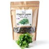 Cilantro Leaves Eleganceinlife 3 oz Pure Herbs USA Packed-0